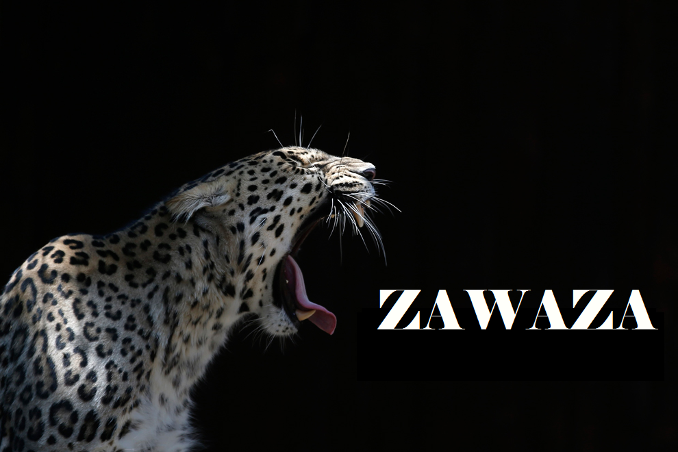 Zawaza main page